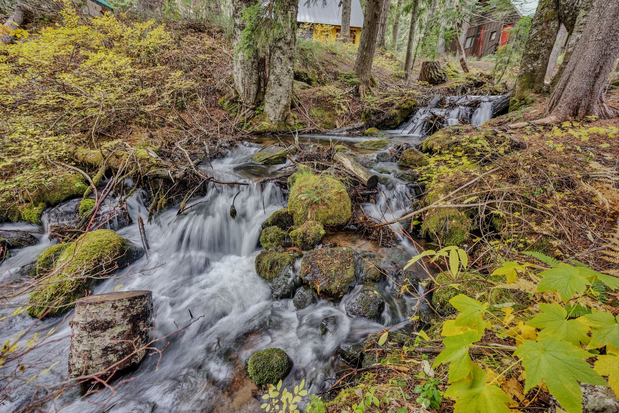 Berghuttlein Getaway - Cozy family alpine retreat with creek access — photo 3