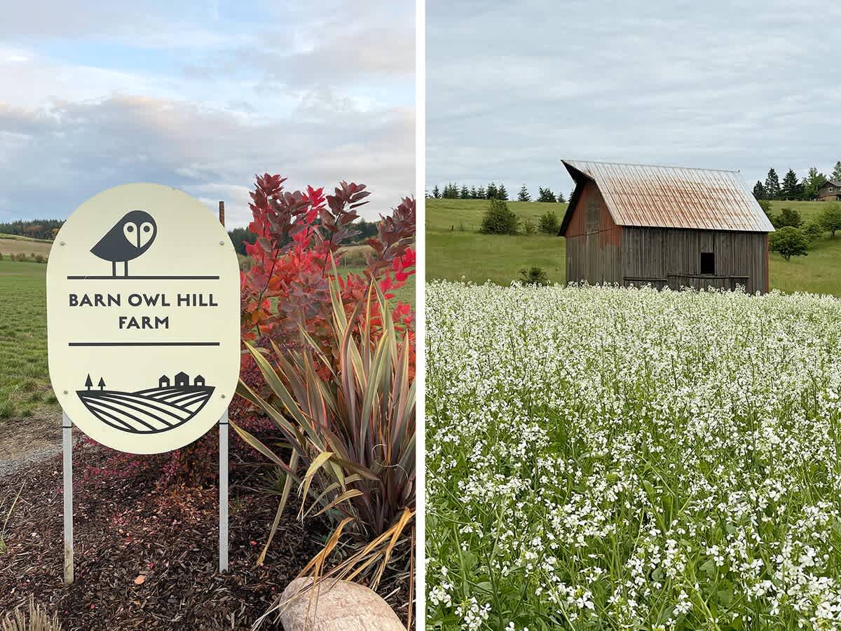 Barn Owl Hill - Historic Farmhouse Vineyard Views — photo 6