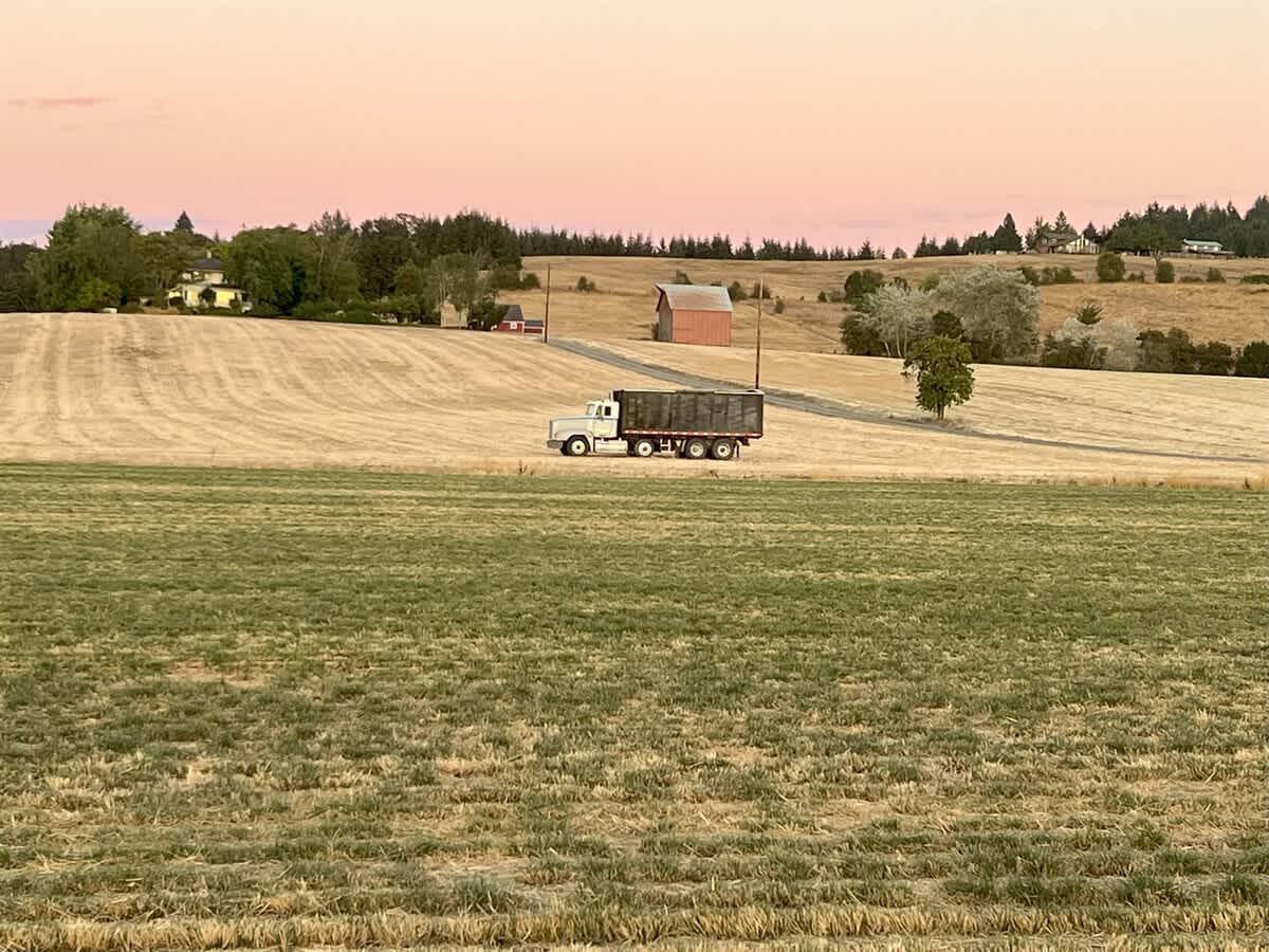 Barn Owl Hill - Historic Farmhouse Vineyard Views — photo 6