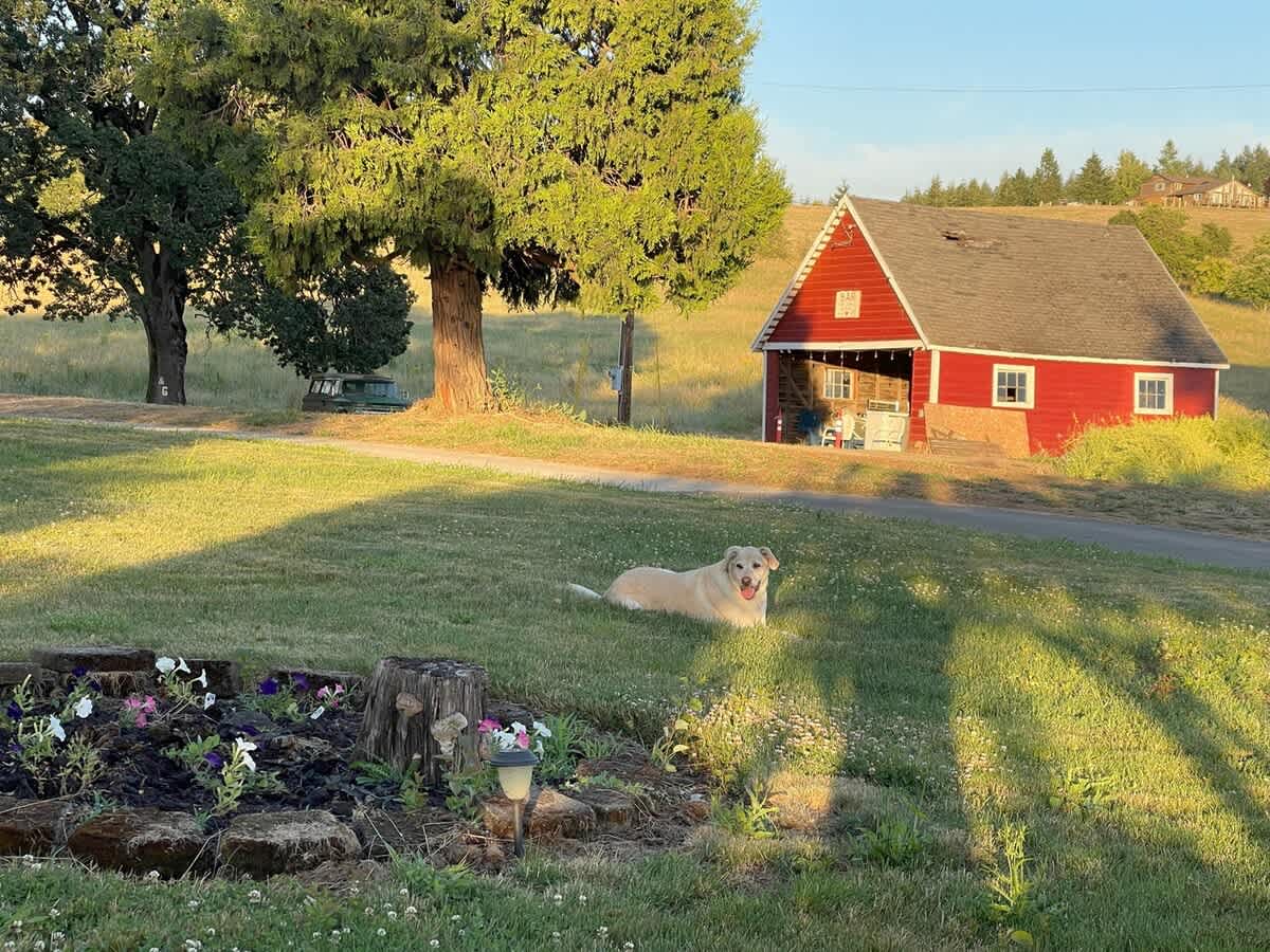 Barn Owl Hill - Historic Farmhouse Vineyard Views — photo 8
