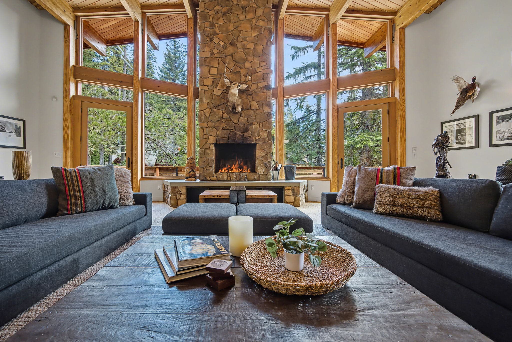 Mule Deer - Grand Mt. Hood Chalet for Groups — photo 3